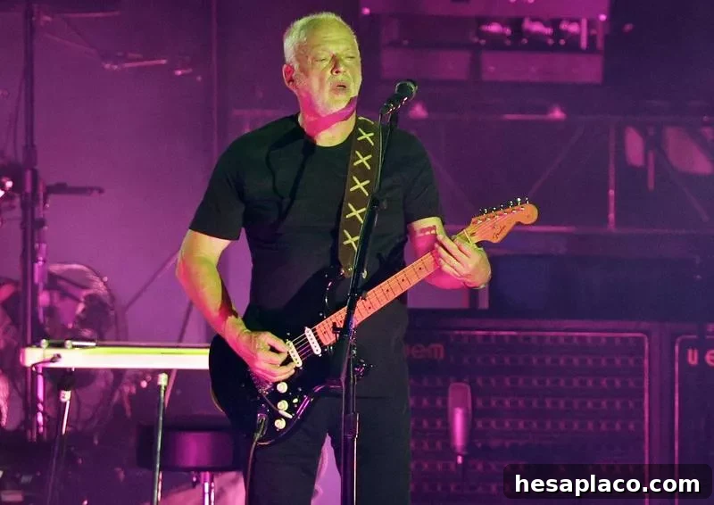 David Gilmour playing 1969 Fender Stratocaster