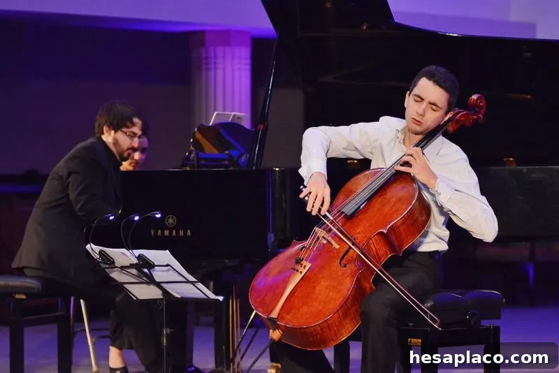 The Countess of Stainlein, Ex-Paganini Cello