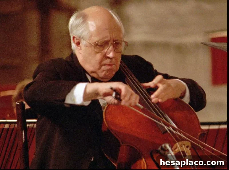 Duport Stradivari Cello