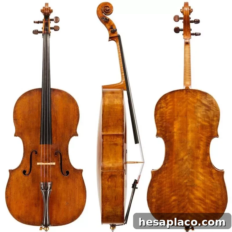 ‘Ex-Havemeyer’ Guadagnini Cello