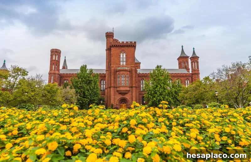 Museum and flowers