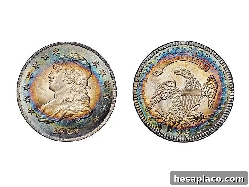 1828 B-3 25/5/50 Error Reverse Capped Bust Quarter
