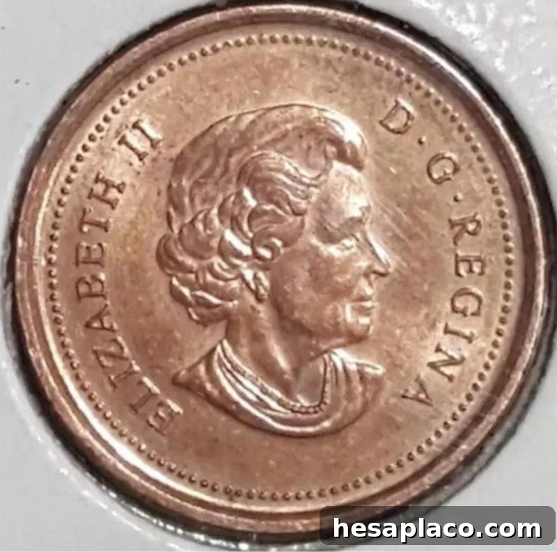 2006 Canadian Magnetic No Logo/No P Penny