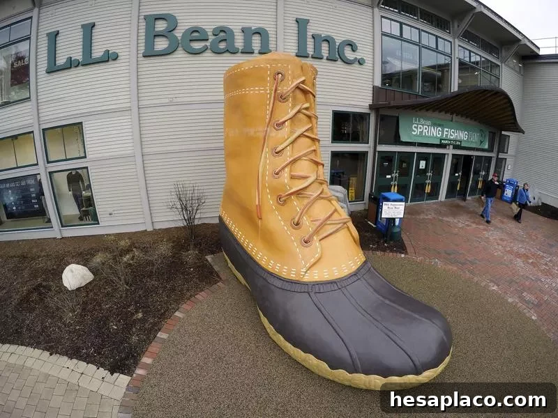 L.L. Bean
