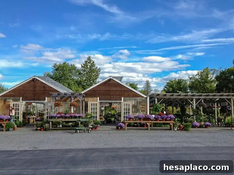 Saunderskill Farm