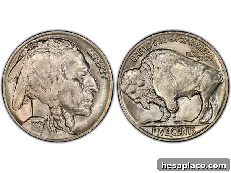 1920-D Regular Strike Buffalo Nickel