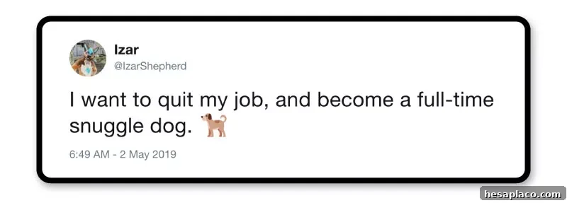 Ambitious plans