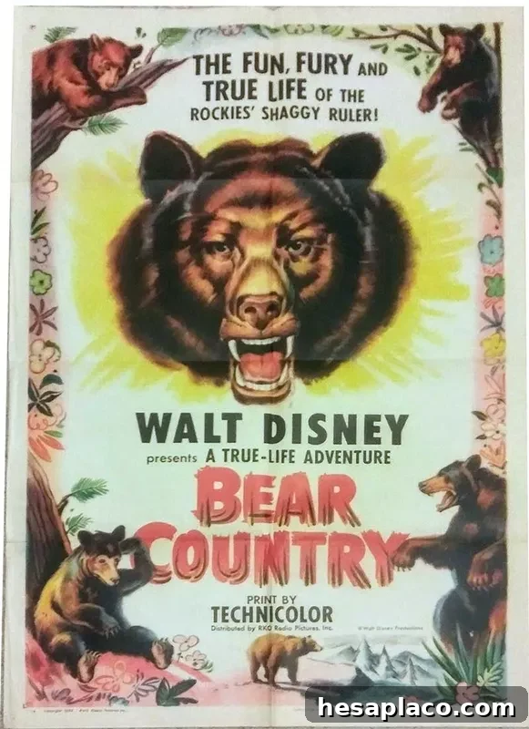 Bear Country movie poster