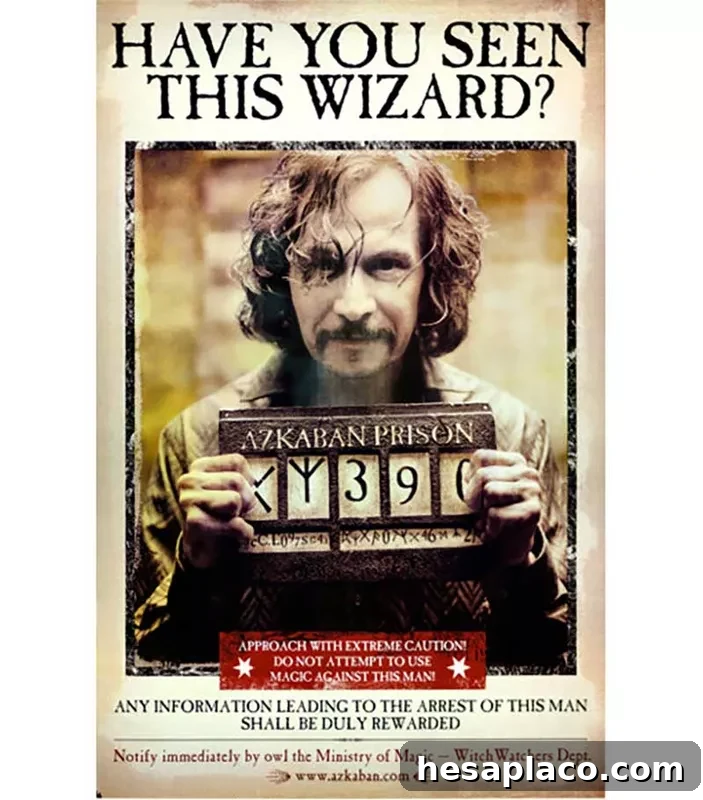 Harry Potter and the Prisoner of Azkaban movie poster