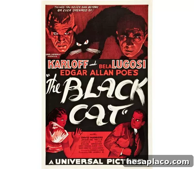 The Black Cat movie poster