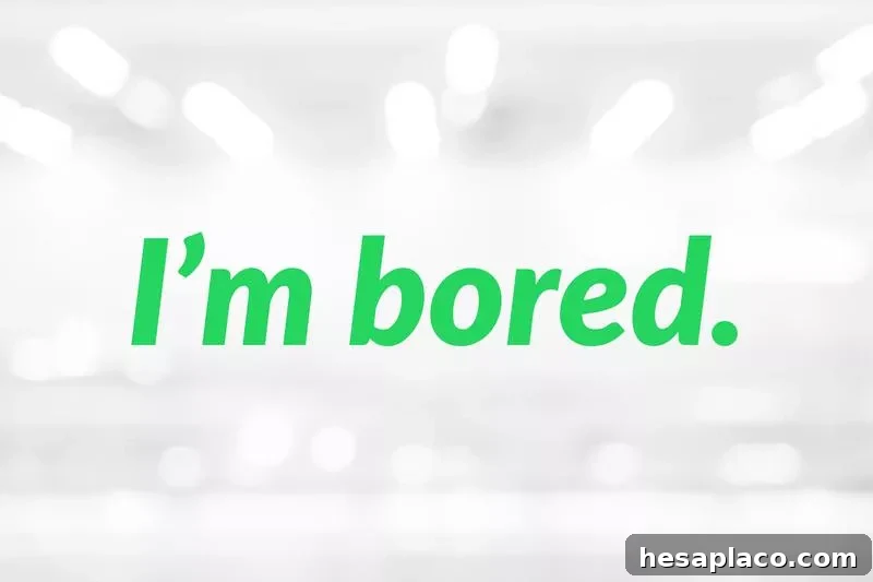 Do Not Say These 15 Phrases to Your Boss 12 img 176376 11