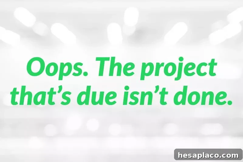 Do Not Say These 15 Phrases to Your Boss 18 img 176376 17