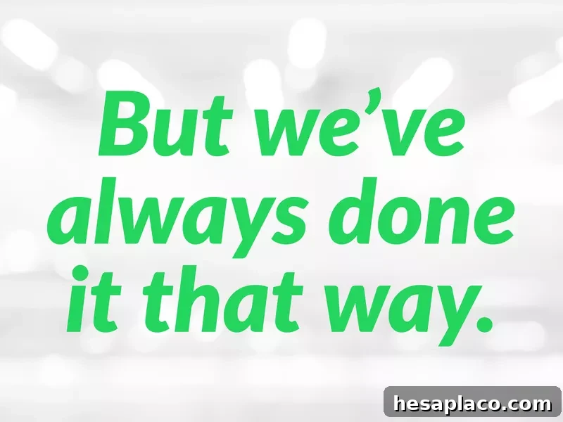Do Not Say These 15 Phrases to Your Boss 20 img 176376 20