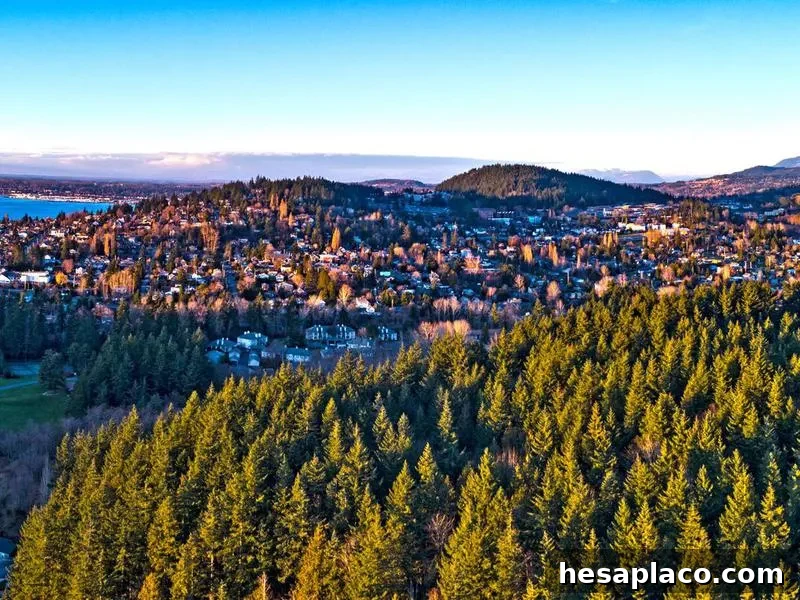 Forest View Bellingham Washington Fairhaven Neighborhood