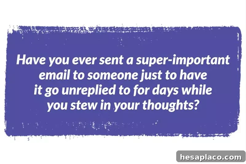 img 178225 12