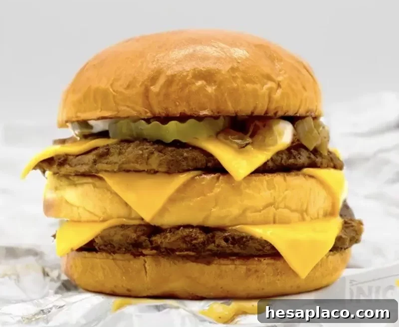 Sonic burger