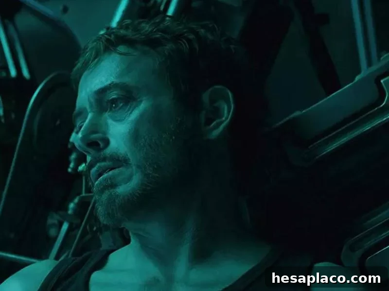 Robert Downey Jr. in Avengers: Endgame (2019)