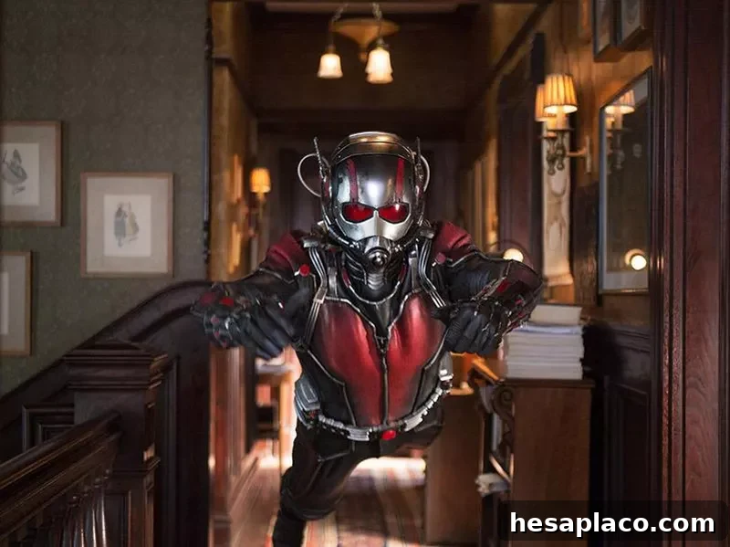 Paul Rudd in Ant-Man (2015)