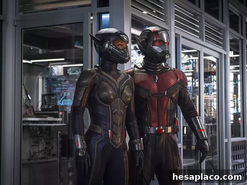 Paul Rudd and Evangeline Lilly in Ant-Man and the Wasp (2018)