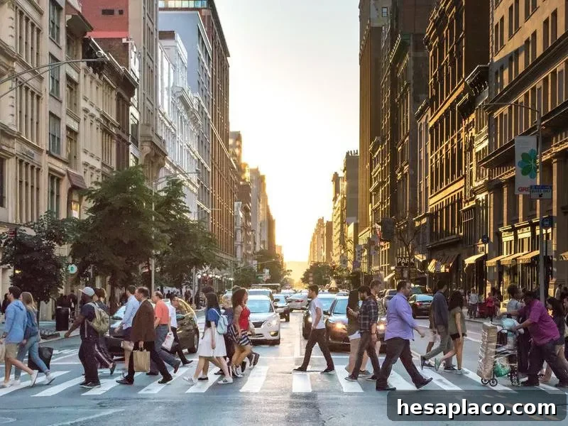 new york city