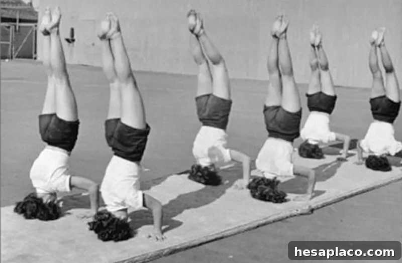 Vintage yoga headstands