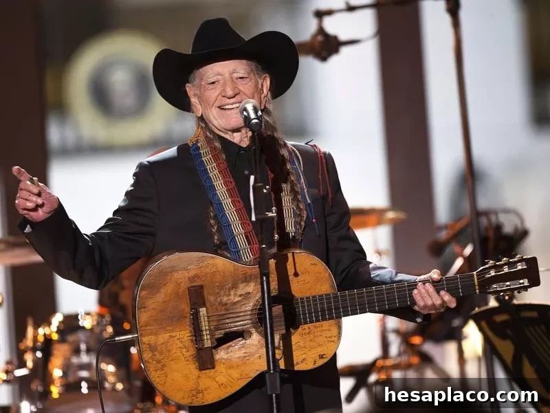 willie nelson