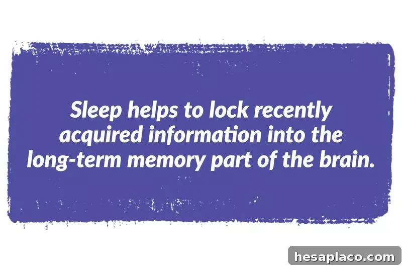 13 Sleep Habits That Boost Health, Mood, and Energy 4 img 181595 3