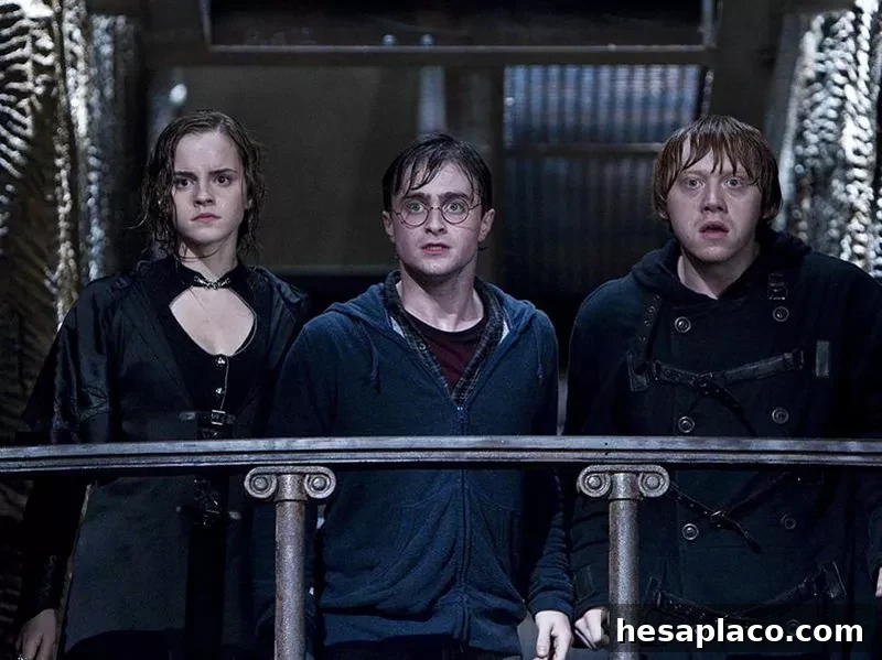 Rupert Grint, Daniel Radcliffe, and Emma Watson in Harry Potter and the Deathly Hallows: Part 2 (2011)