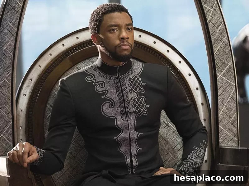 Chadwick Boseman in Black Panther (2018)