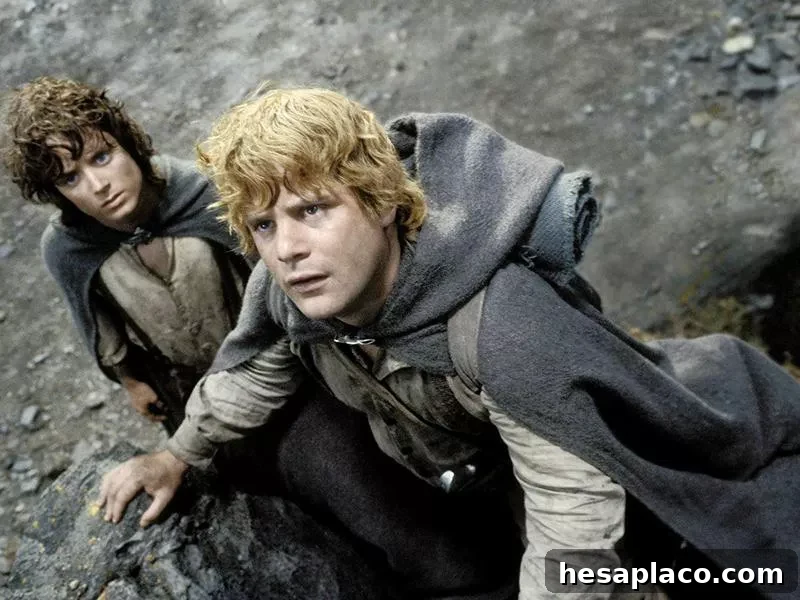 Sean Astin and Elijah Wood in The Lord of the Rings: The Return of the King (2003)