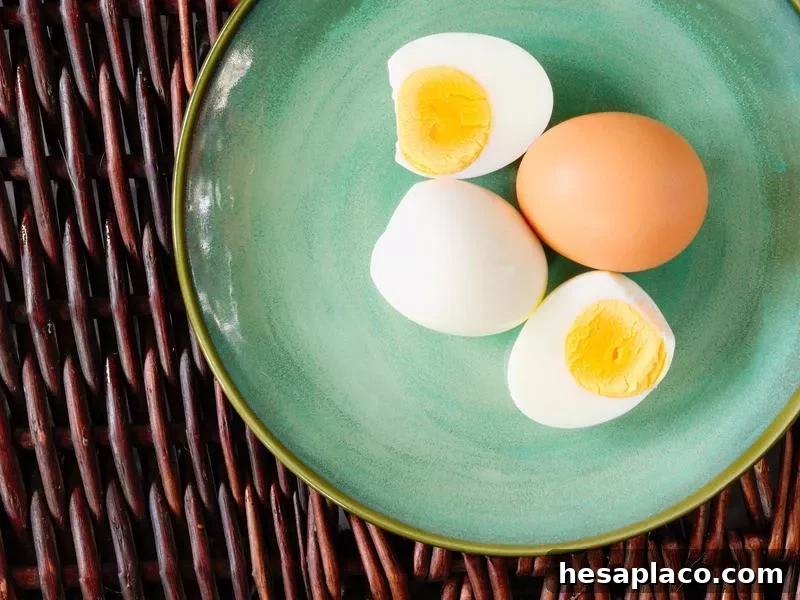 eggs