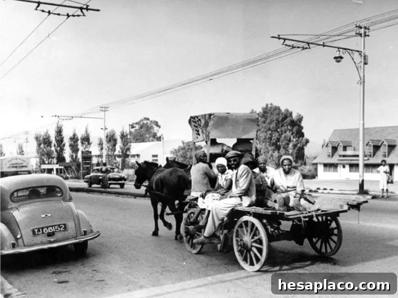 south africa bus boycott