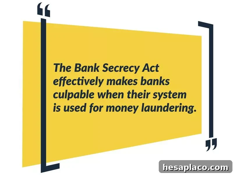 The Banking Secrecy Act & Money Laundering