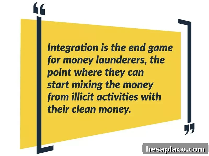 Money Laundering Integration