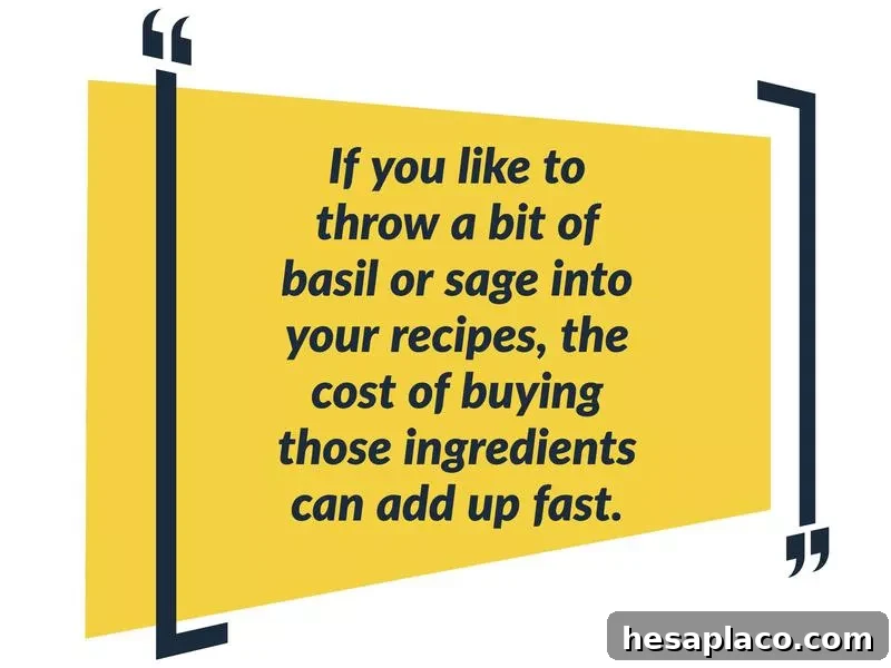 13 Smart Strategies to Cut Your Grocery Bill by 30% 13 herbs greens