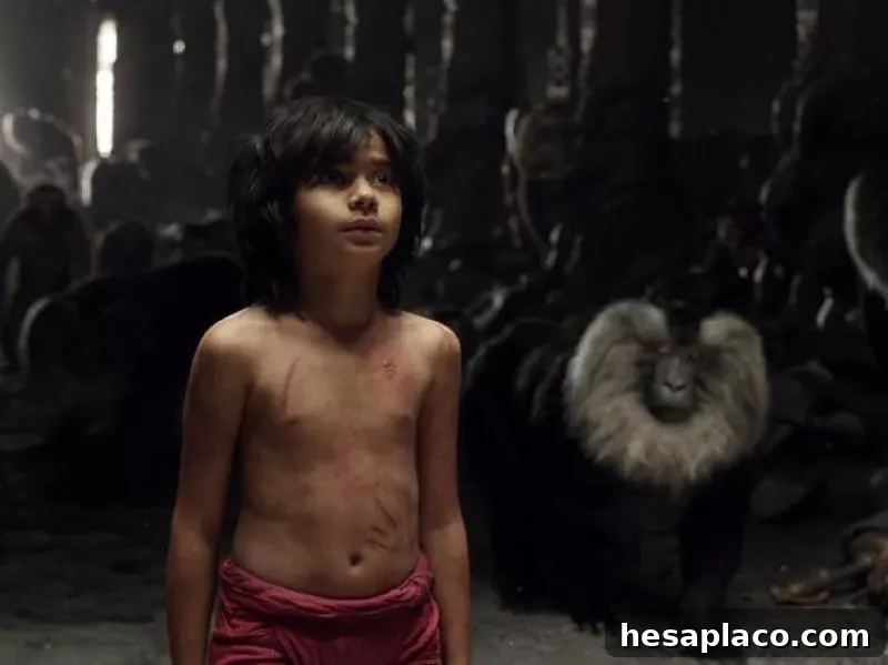 The Jungle Book