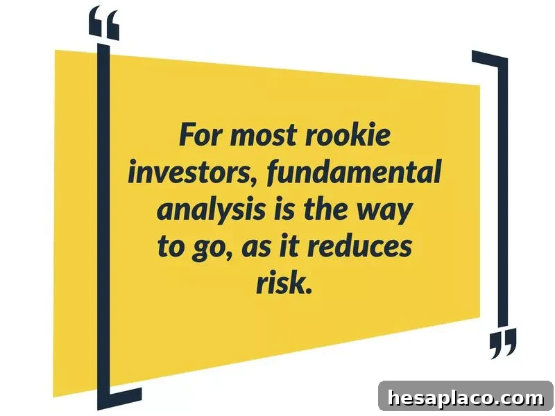 12 Essential Tips to Know Before You Start Investing in Stocks 11 stocks fundamentals