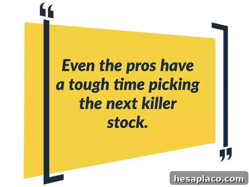 12 Essential Tips to Know Before You Start Investing in Stocks 8 funds minimize risk