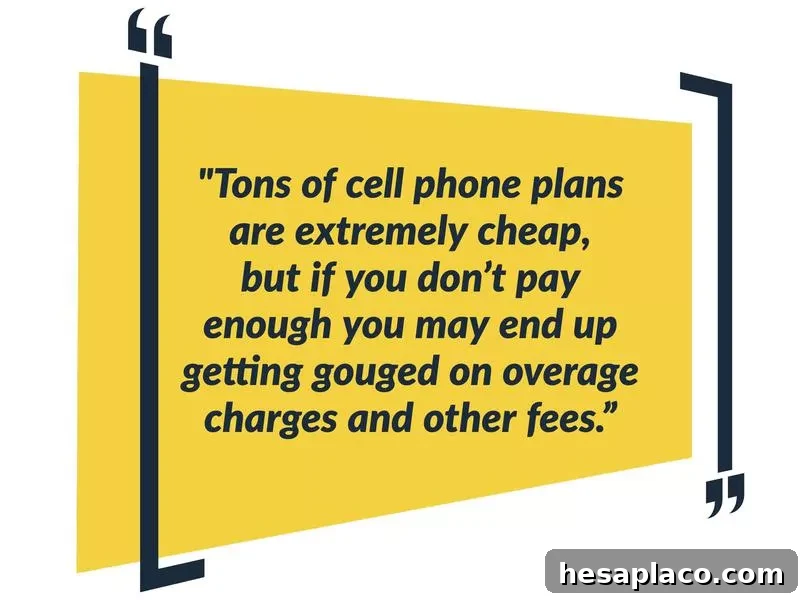 cell phone