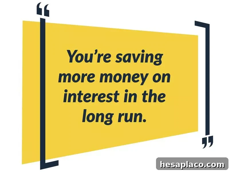 avalanche interest