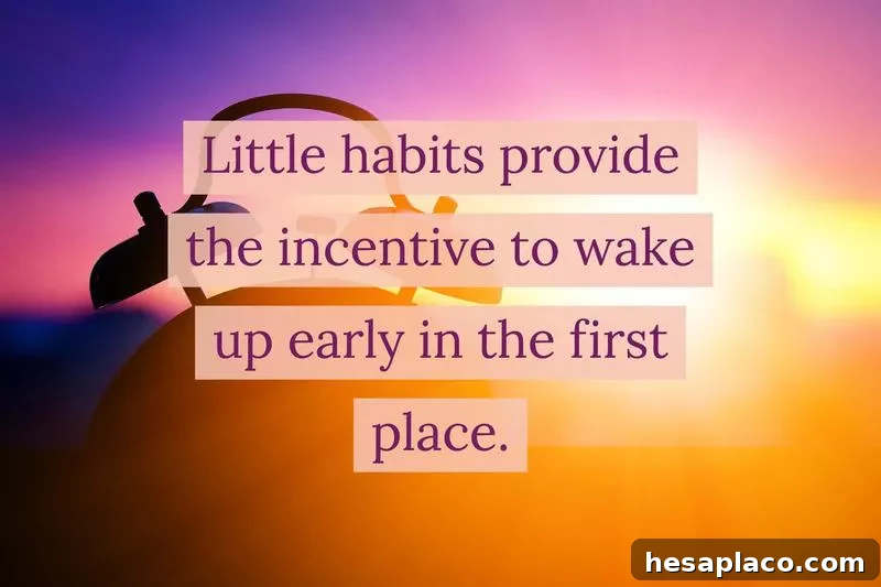 morning routine