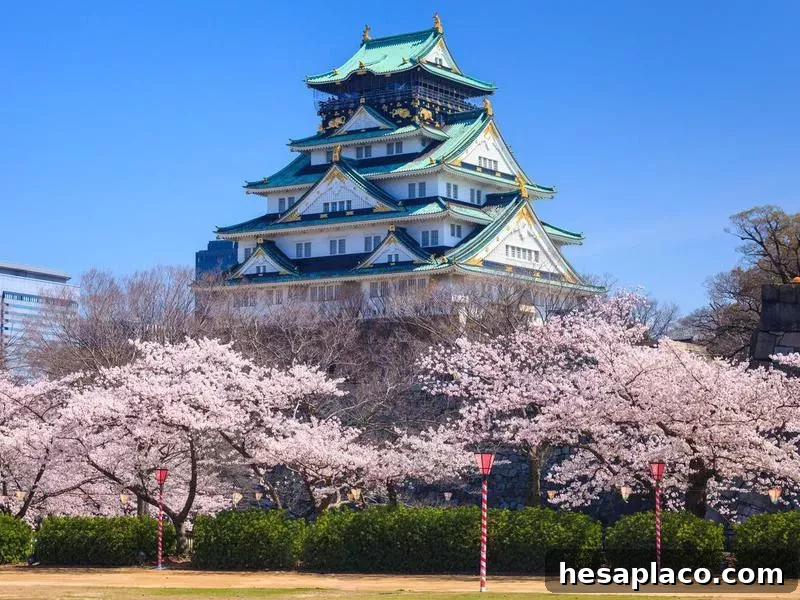 Osaka Castle in cherry blossom season in Osaka, Japan