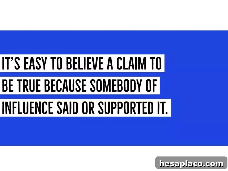 12 Logical Fallacies and How to Spot and Refute Them 3 img 191926 2