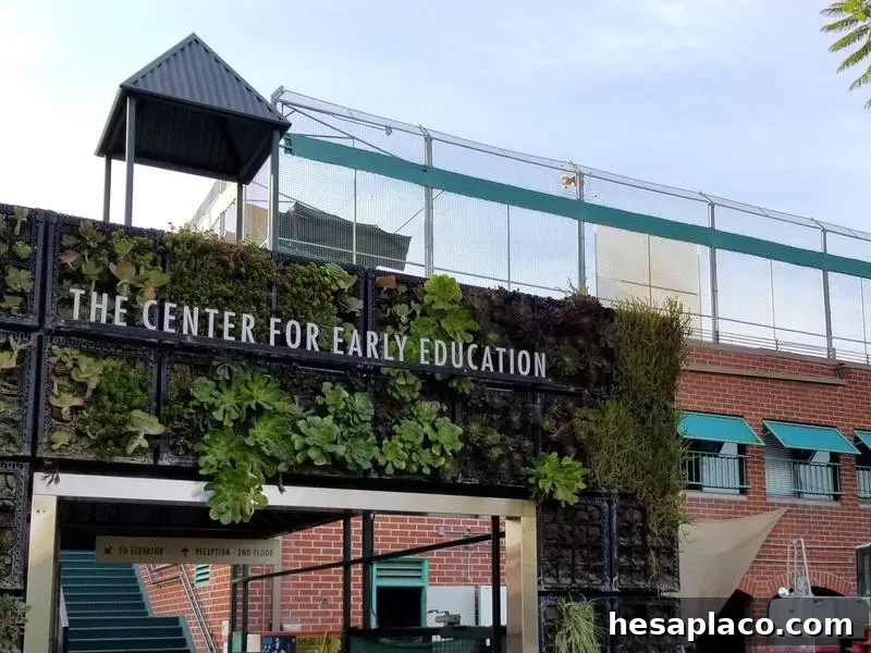 Center for Early Education