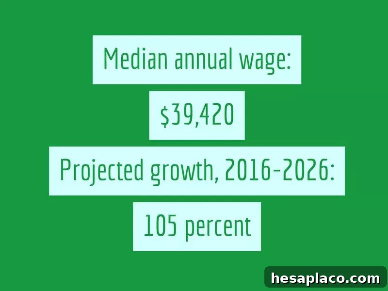 Jobs Growing and Declining in the New U.S. Economy 21 img 193131 21