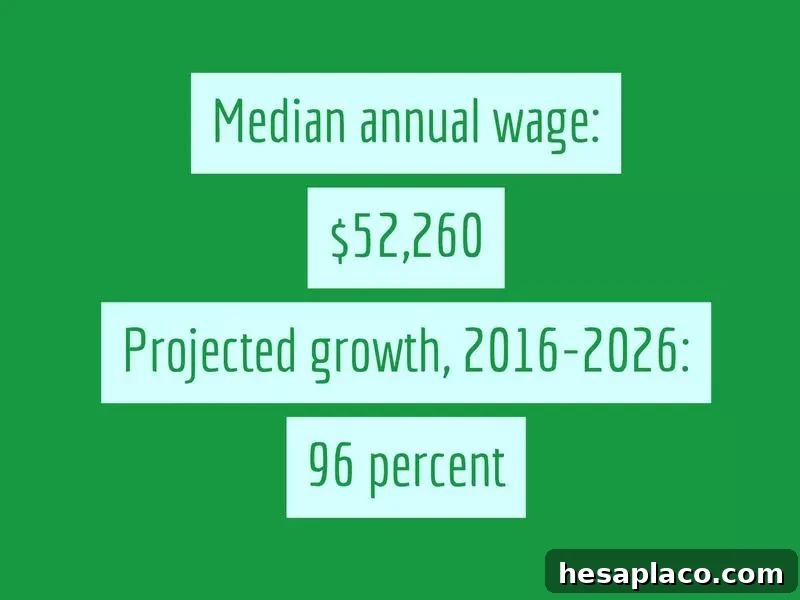 Jobs Growing and Declining in the New U.S. Economy 22 img 193131 22