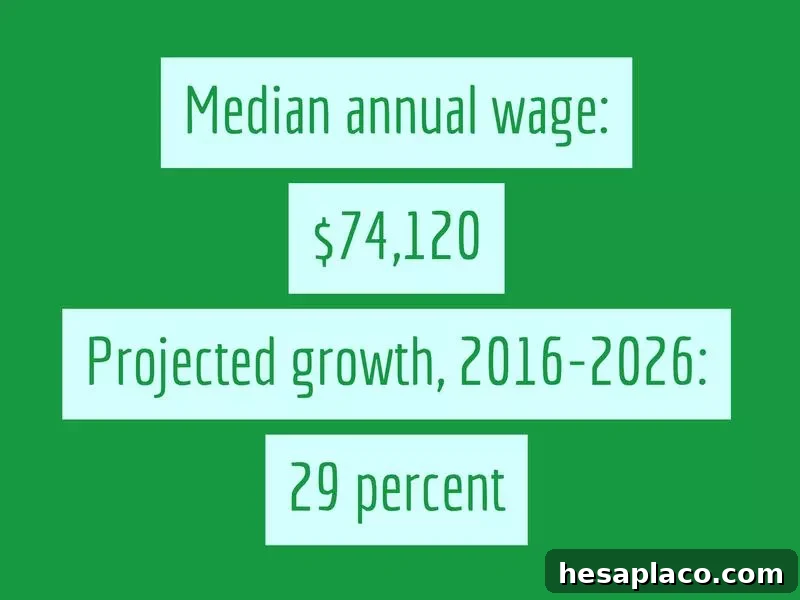 Jobs Growing and Declining in the New U.S. Economy 28 img 193131 28