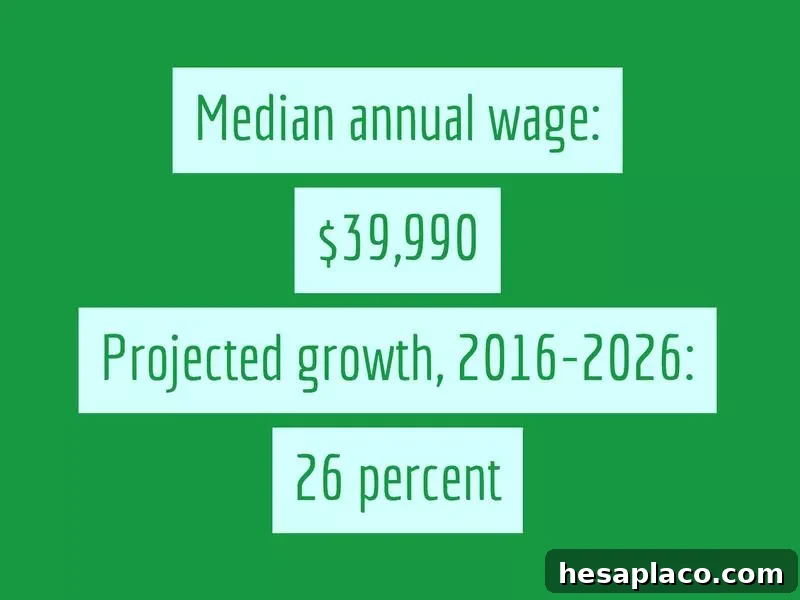 Jobs Growing and Declining in the New U.S. Economy 32 img 193131 32
