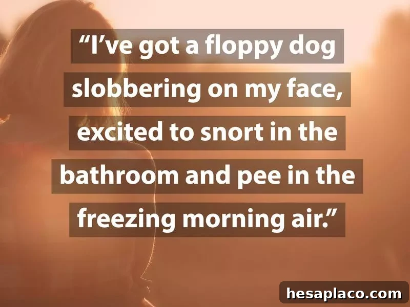 The Pain and Joy of Becoming a Morning Person 11 None