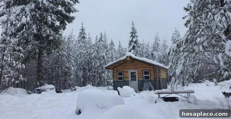 cabin